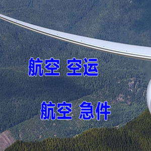 阆中古城航空快运快递-选东方航空和上海航空