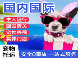 阆中古城航空快运国际宠物托运 【国
